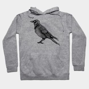 Raven Black And White Horror Gothic Ink Drawing Hoodie